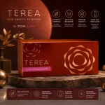 Buy HEETS TEREA Bronze Kazakhstan For IQOS ILUMA Dubai