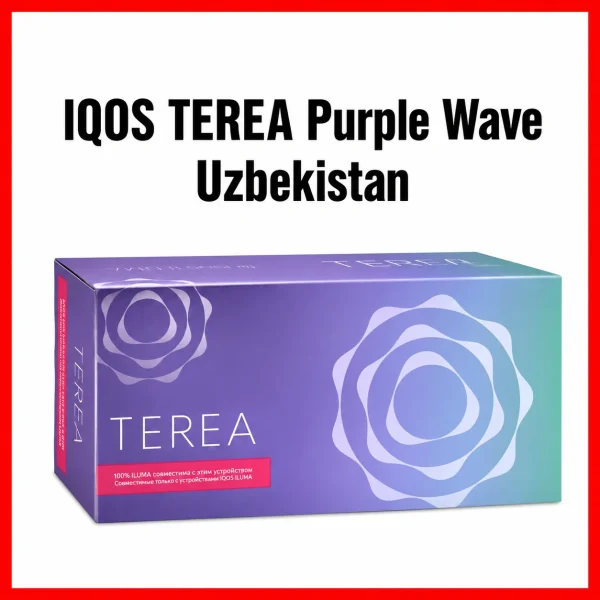 IQOS TEREA Purple Wave Uzbekistan