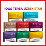 IQOS TEREA Uzbekistan (variants)