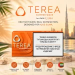 TEREA Summer Wave Kazakhstan for IQOS ILUMA – Buy Online Dubai UAE