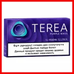 IQOS Terea Purple Wave Kyrgyzstan